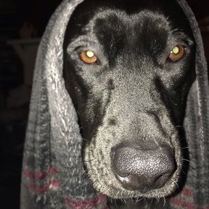 Meet your Posher, April